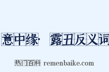 意中缘·露丑反义词是什么意思的图片